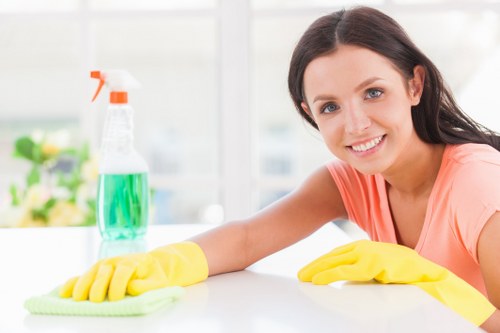 Professional carpet cleaning in a Hollandpark home living room