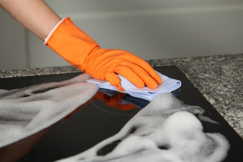 Professional window cleaning for a Hollandpark home exterior