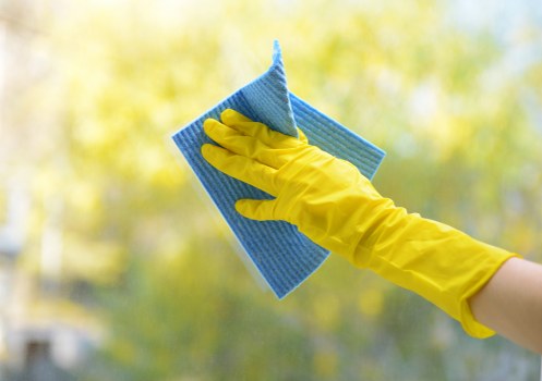 Carpet cleaning in Holland Park with fresh and well-maintained flooring