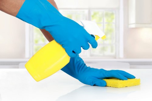 Removing dust and stains from a sofa with expert cleaning in Hollandpark