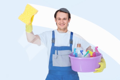 Professional upholstery cleaning in a Hollandpark living room