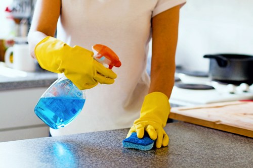 A cleaner in Hollandpark performing detailed kitchen cleaning