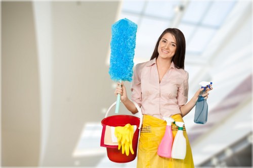Professional oven cleaning in Hollandpark removing grease from a kitchen appliance