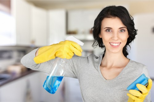 Thorough deep cleaning in Hollandpark for a fresh and hygienic home