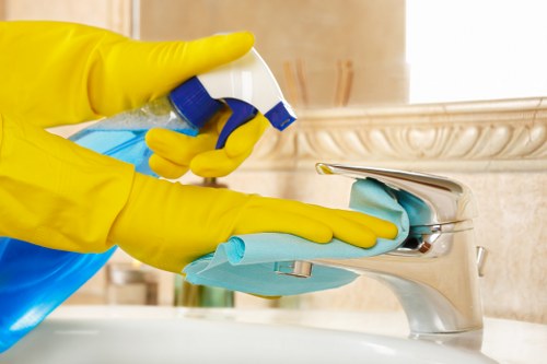 Carpet cleaning in home and office interiors