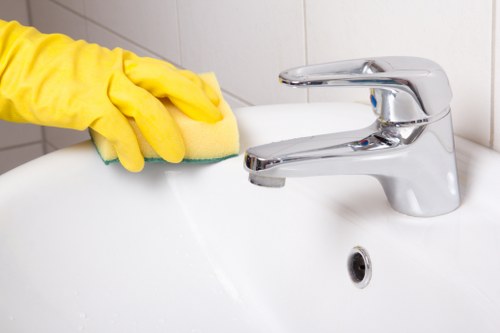 Regular domestic cleaner in Hollandpark vacuuming a tidy apartment floor