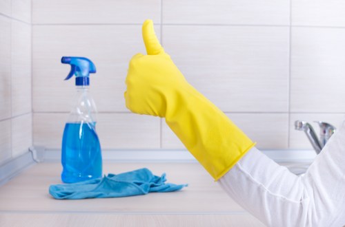 Bathroom deep cleaning by cleaners in Hollandpark