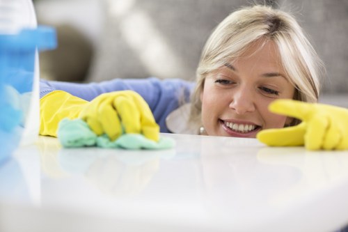 Technician treating carpet stains during carpet cleaning in Hollandpark