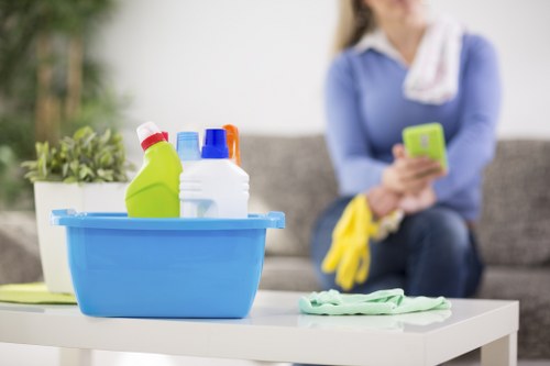 Visual representing screen-reader friendly carpet cleaning content