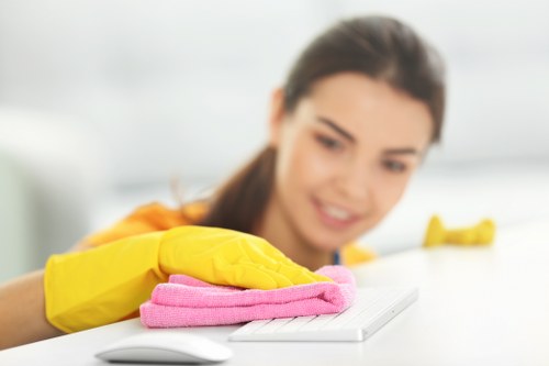 Flexible domestic cleaning service for a Hollandpark home