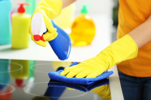 Deep upholstery cleaning process for a fabric sofa in Hollandpark