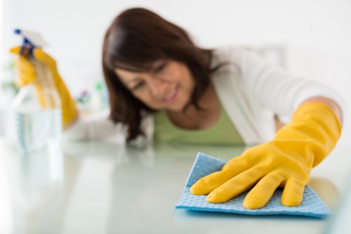 Close-up of stain removal during upholstery cleaning in Hollandpark