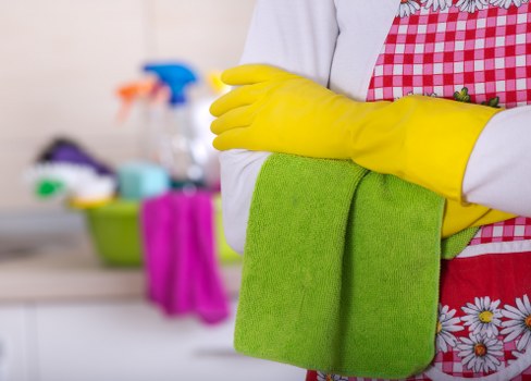 Quote process details for carpet cleaning in Hollandpark