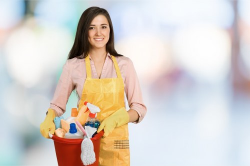 Team member assessing a carpet cleaning service issue