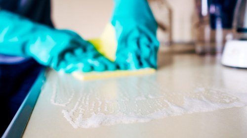 Detailed Hollandpark cleaning service for kitchens and living areas