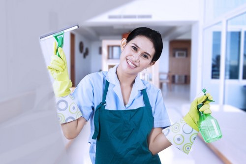 Cleaner in Hollandpark carrying out detailed kitchen cleaning in a modern home