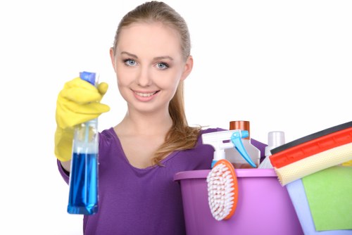 End of tenancy cleaner in Hollandpark arranging a spotless rental property