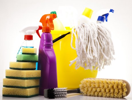 Audit and oversight of Hollandpark carpet cleaning suppliers