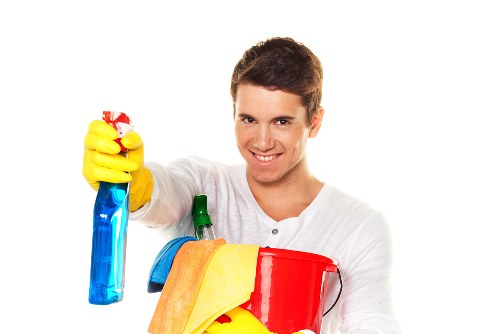 Eco-friendly oven cleaning service for homes in Hollandpark