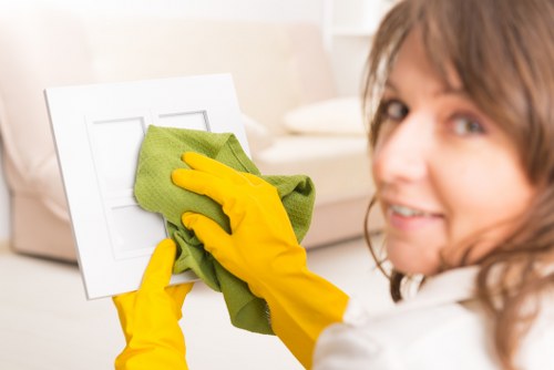 Eco-friendly home cleaners in Hollandpark organizing a clean space