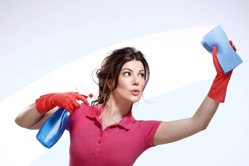 Kitchen appliance cleaning service provided by an oven cleaner in Hollandpark