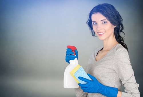 User adjusting browser cookie preferences for Carpetcleaning Hollandpark