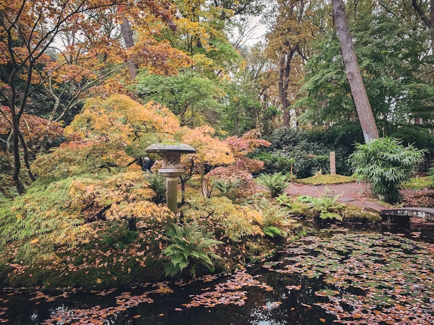 A lush garden with curved flower beds filled with vibrant yellow tulips in the foreground, and orange and red tulips further back along a winding pathway. The pathway is made of dark soil or mulch, an